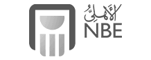 NBE Logo